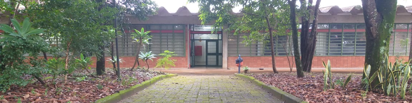 Departamento de Estatística - entrada